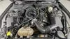 Florida Fine Cars - Used FORD MUSTANG 2015 ORLANDO V6