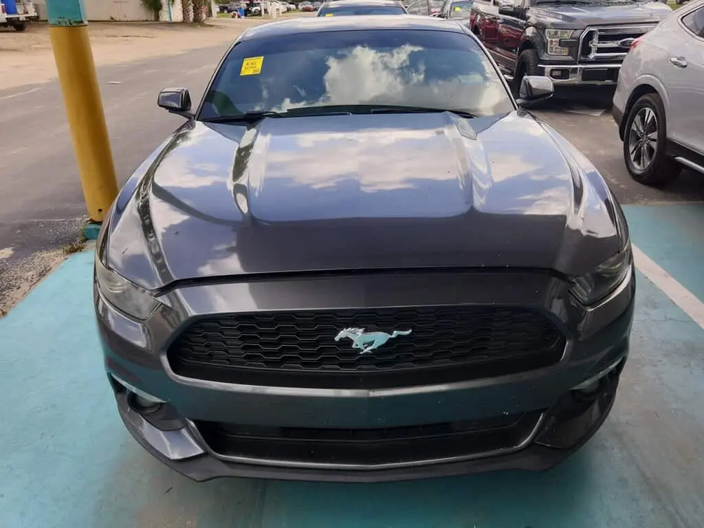 Florida Fine Cars - Used FORD MUSTANG 2015 ORLANDO V6