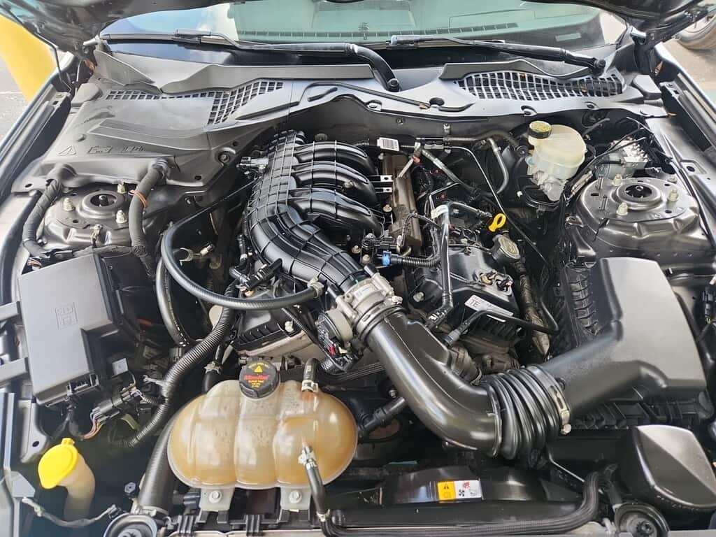 Florida Fine Cars - Used FORD MUSTANG 2015 ORLANDO V6