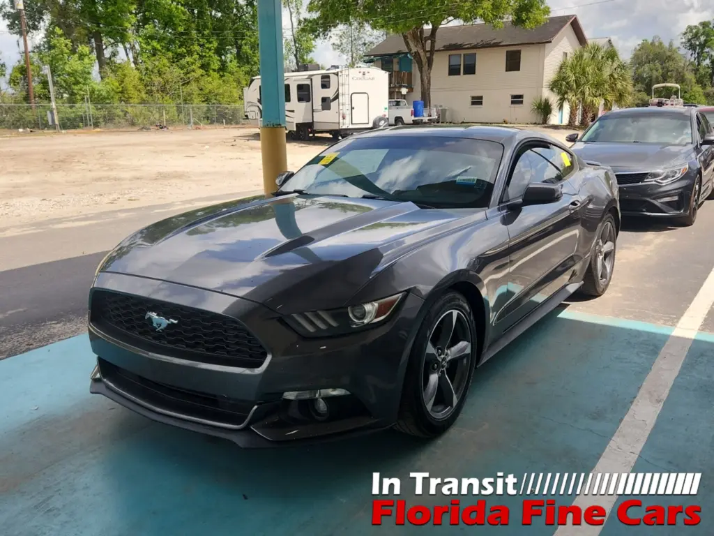 Florida Fine Cars - Used FORD MUSTANG 2015 ORLANDO V6