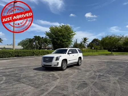 Florida Fine Cars - Used CADILLAC ESCALADE 2018 MIAMI 