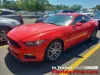 Florida Fine Cars - Used FORD MUSTANG 2016 ORLANDO ECOBOOST