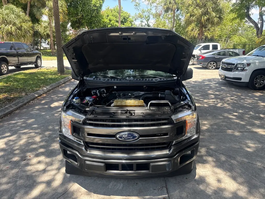 Florida Fine Cars - Used FORD F-150 2019 WEST PALM XLT