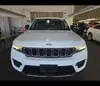 Florida Fine Cars - Used JEEP GRAND CHEROKEE 2023 ORLANDO LAREDO