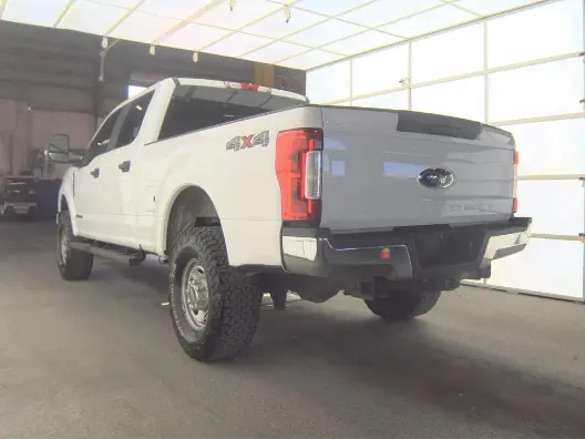 Florida Fine Cars - Used FORD SUPER DUTY F-250 SRW 2019 WEST PALM XL