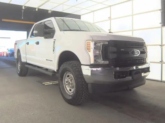 Florida Fine Cars - Used FORD SUPER DUTY F-250 SRW 2019 WEST PALM XL