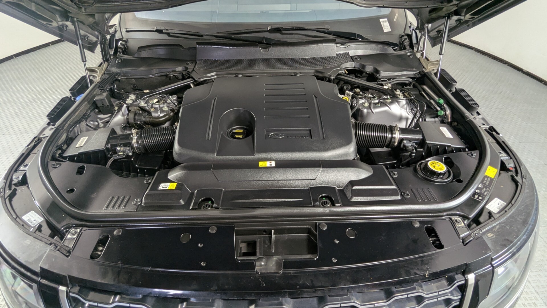 Florida Fine Cars - Used vehicle - SUV LAND ROVER RANGE ROVER 2022