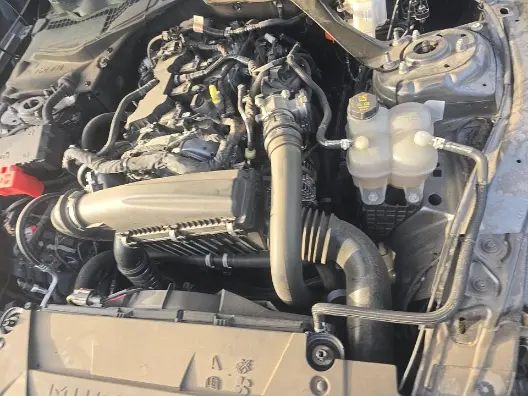 Florida Fine Cars - Used FORD MUSTANG 2024 ORLANDO ECOBOOST PREMIUM