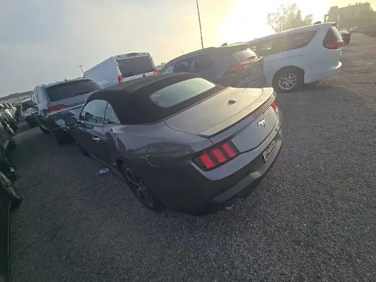 Florida Fine Cars - Used FORD MUSTANG 2024 ORLANDO ECOBOOST PREMIUM
