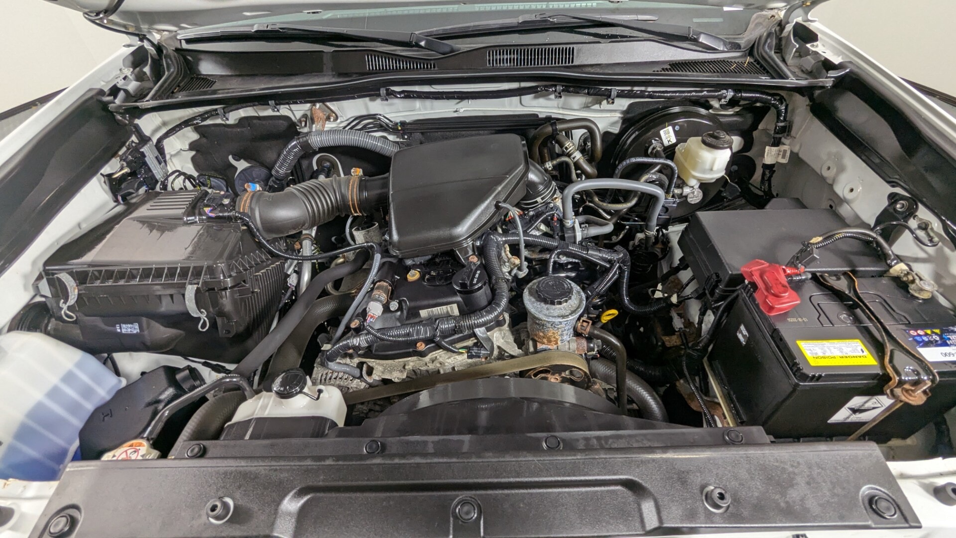 Florida Fine Cars - Used vehicle - TRUCK TOYOTA TACOMA 2WD 2019