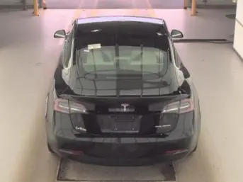 Florida Fine Cars - Used TESLA MODEL 3 2019 ORLANDO PERFORMANCE