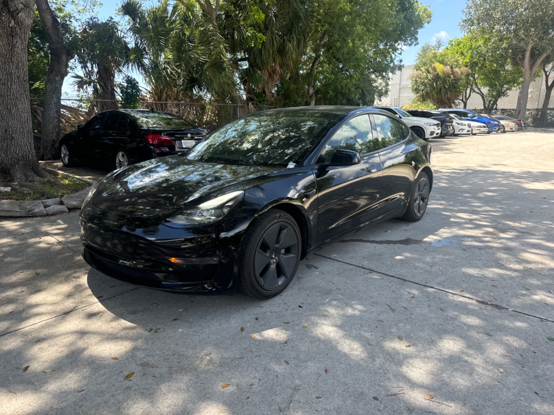 2023 Tesla Model 3 -'s photo