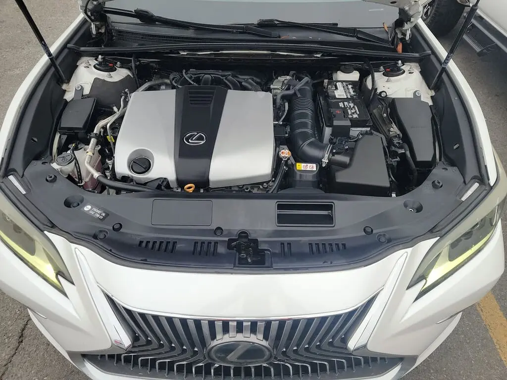 Florida Fine Cars - Used LEXUS ES 2019 ORLANDO ES 350
