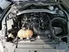 Florida Fine Cars - Used FORD MUSTANG 2019 MARGATE BULLITT
