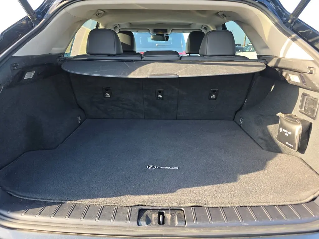 Florida Fine Cars - Used LEXUS RX 2017 WEST PALM RX 350