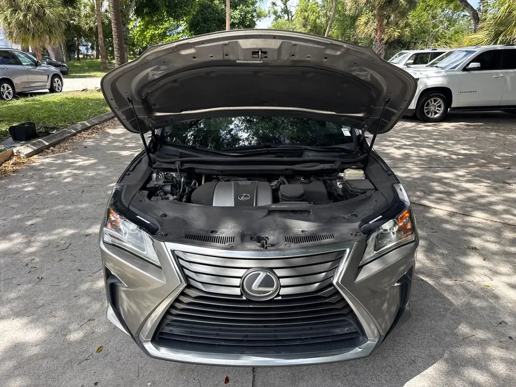 Florida Fine Cars - Used LEXUS RX 2018 WEST PALM RX 350