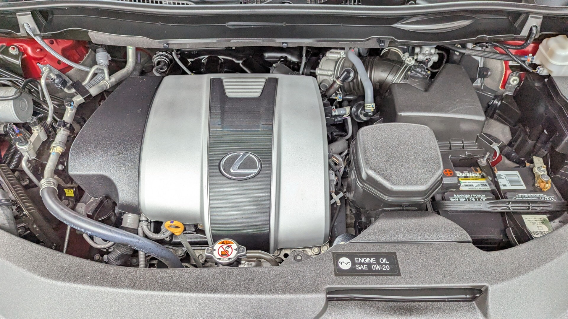 Florida Fine Cars - Used vehicle - SUV LEXUS RX 2022