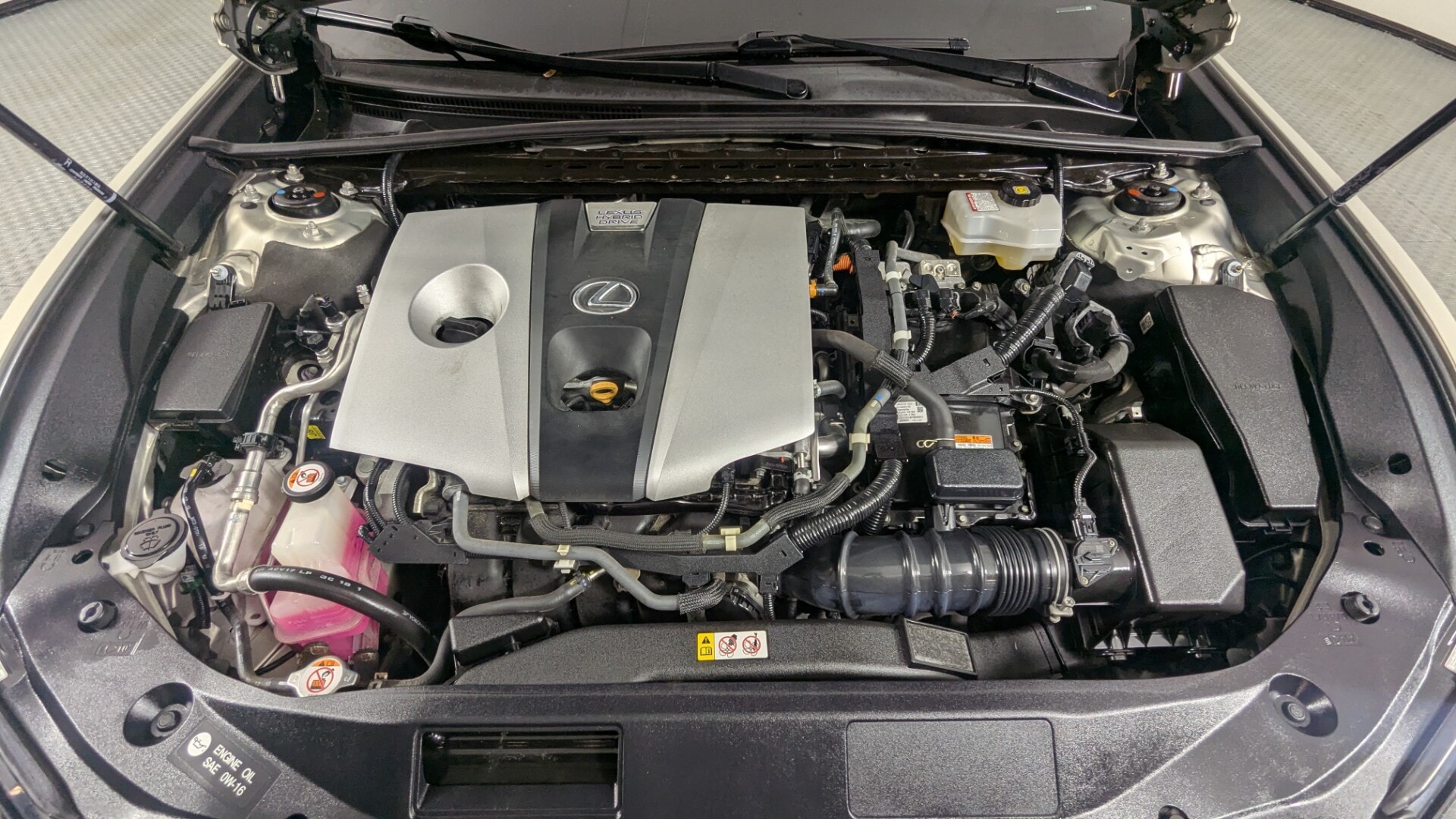Florida Fine Cars - Used vehicle - SEDAN LEXUS ES 2019
