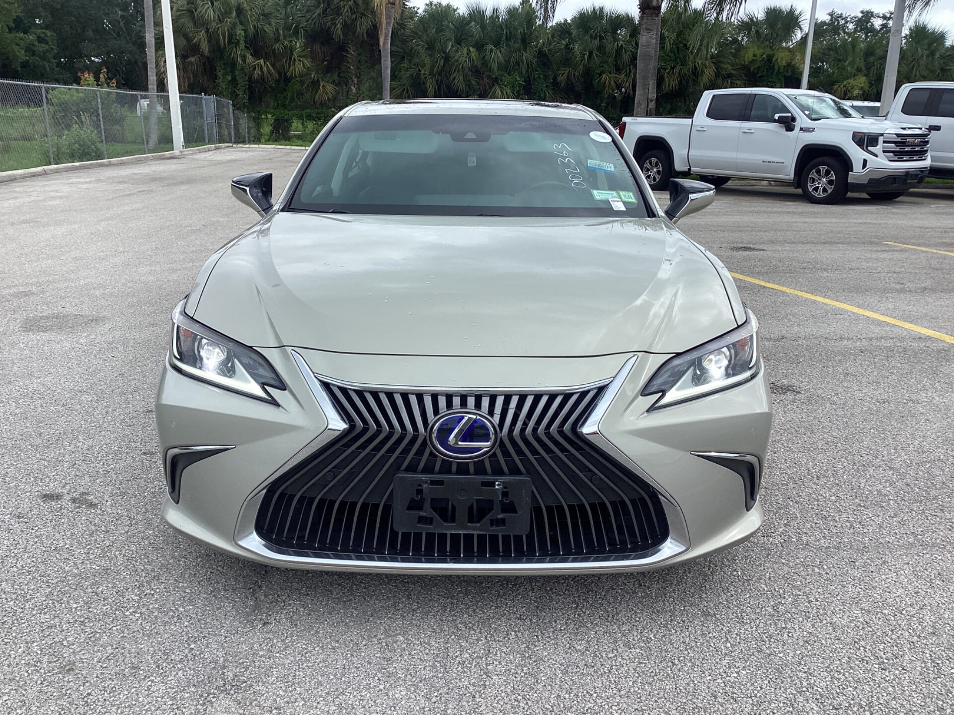 2019 Lexus ES 300h 300h's photo