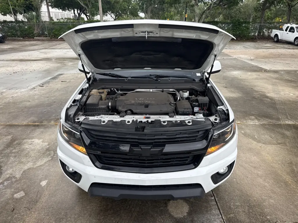 Florida Fine Cars - Used CHEVROLET COLORADO 2019 WEST PALM 4WD LT