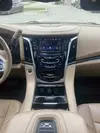 Florida Fine Cars - Used CADILLAC ESCALADE 2019 ORLANDO PLATINUM