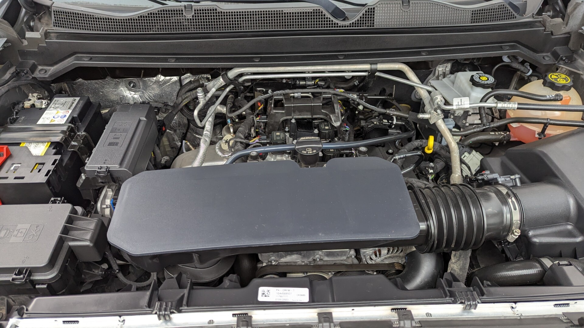 Florida Fine Cars - Used vehicle - TRUCK CHEVROLET COLORADO 2023