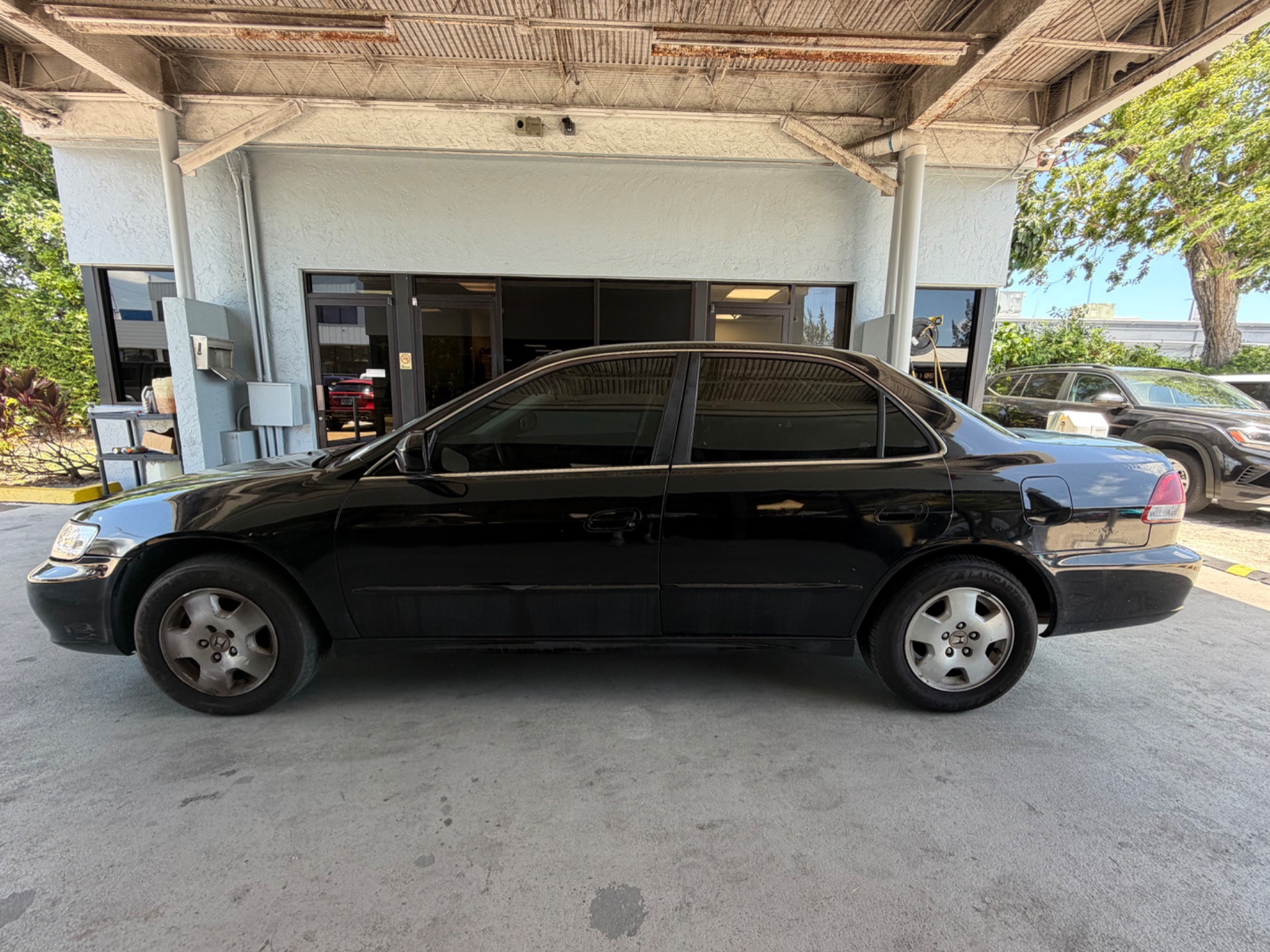 Florida Fine Cars - Used vehicle - SEDAN HONDA ACCORD SDN 2001