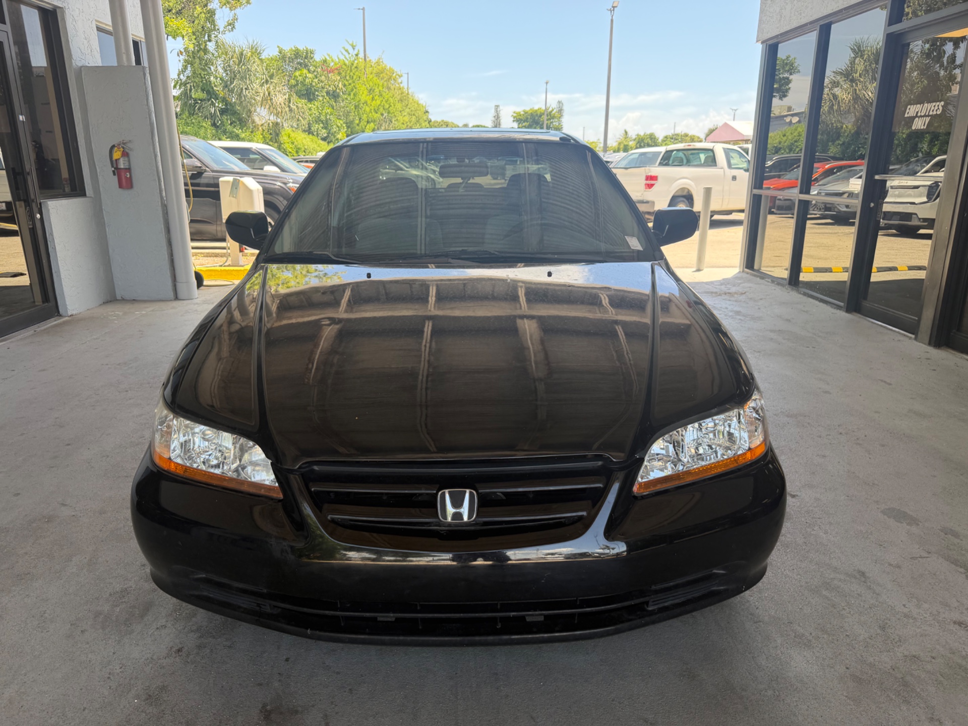 Florida Fine Cars - Used vehicle - SEDAN HONDA ACCORD SDN 2001