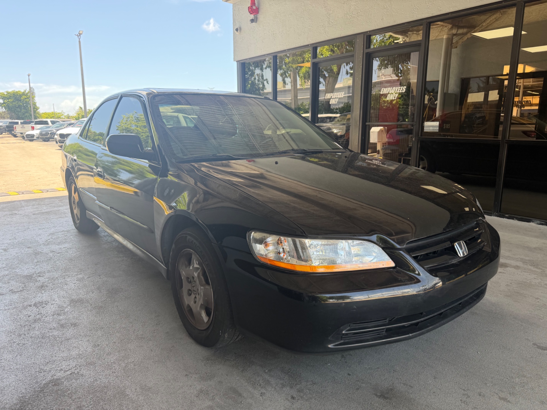 Florida Fine Cars - Used vehicle - SEDAN HONDA ACCORD SDN 2001