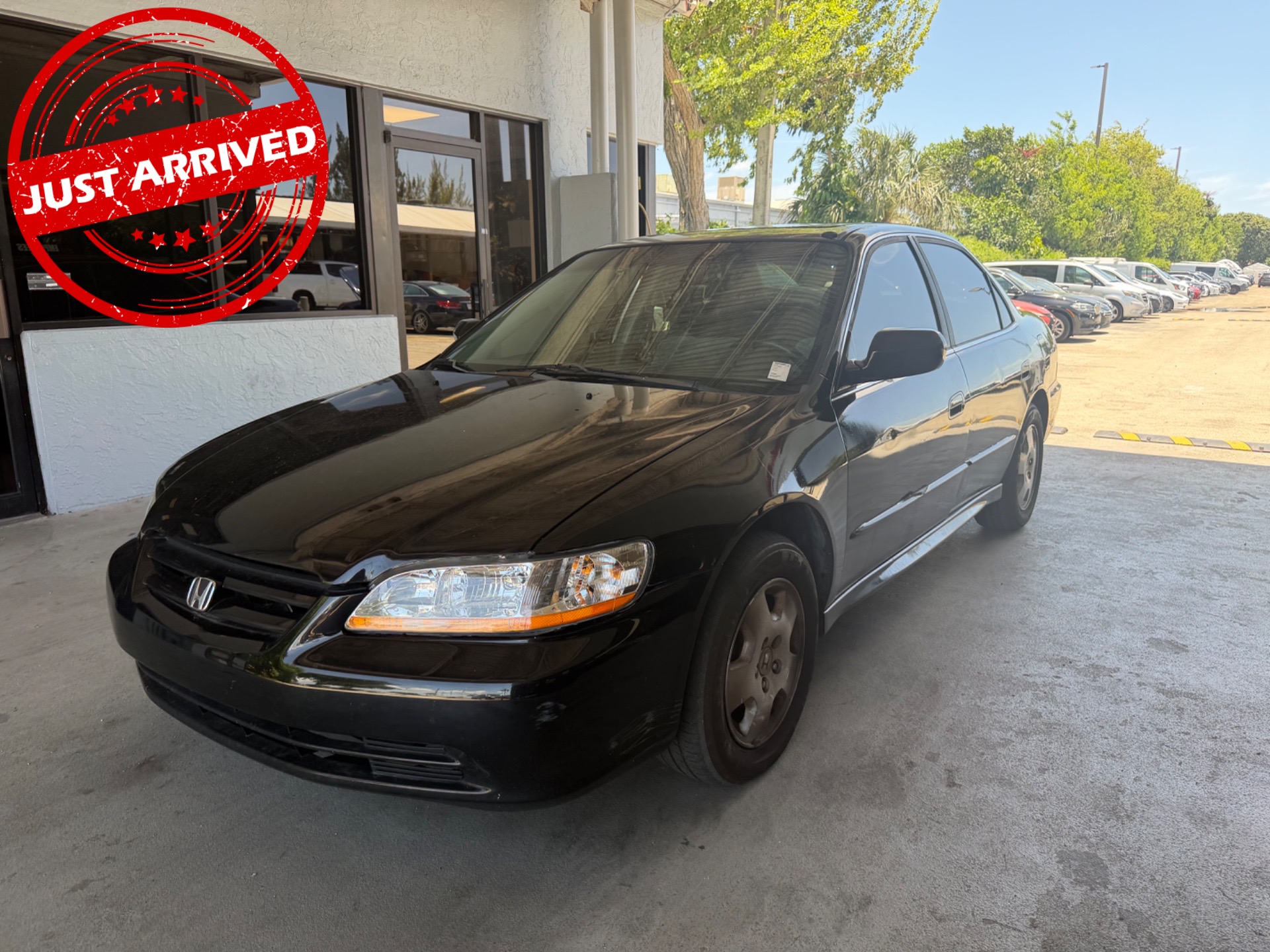 Florida Fine Cars - Used vehicle - SEDAN HONDA ACCORD SDN 2001