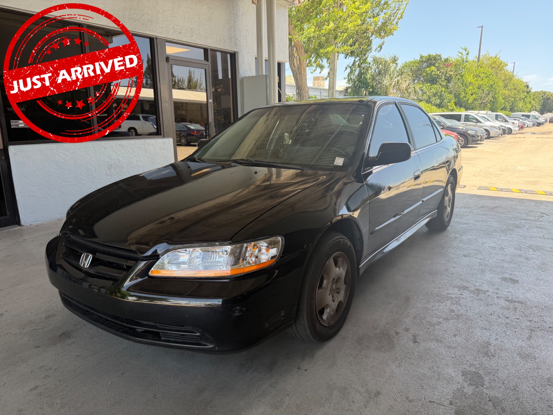 Florida Fine Cars - Used vehicle - SEDAN HONDA ACCORD SDN 2001