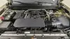 Florida Fine Cars - Used CHEVROLET COLORADO 2023 ORLANDO 2WD WORK TRUCK