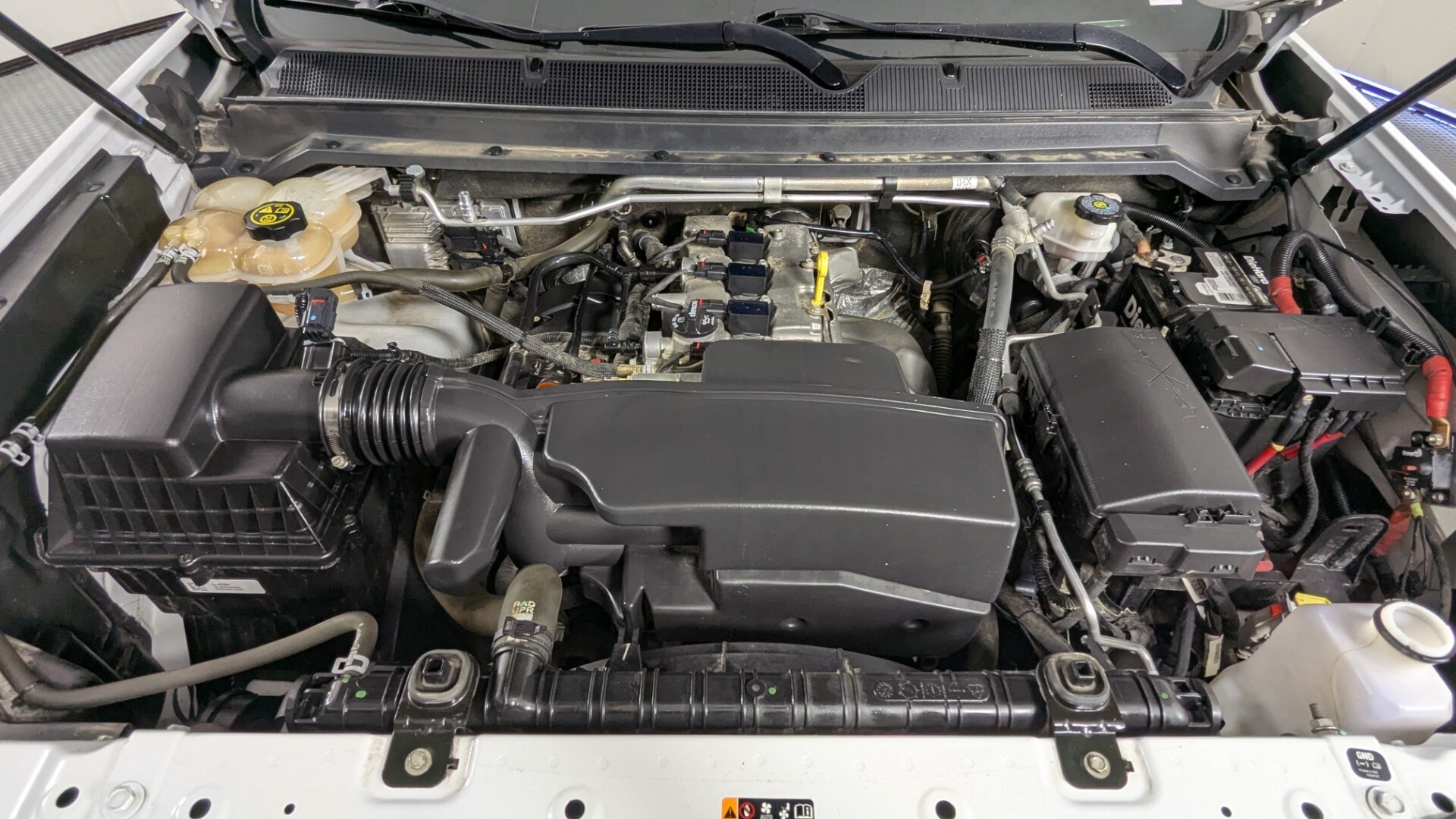 Florida Fine Cars - Used vehicle - TRUCK CHEVROLET COLORADO 2022