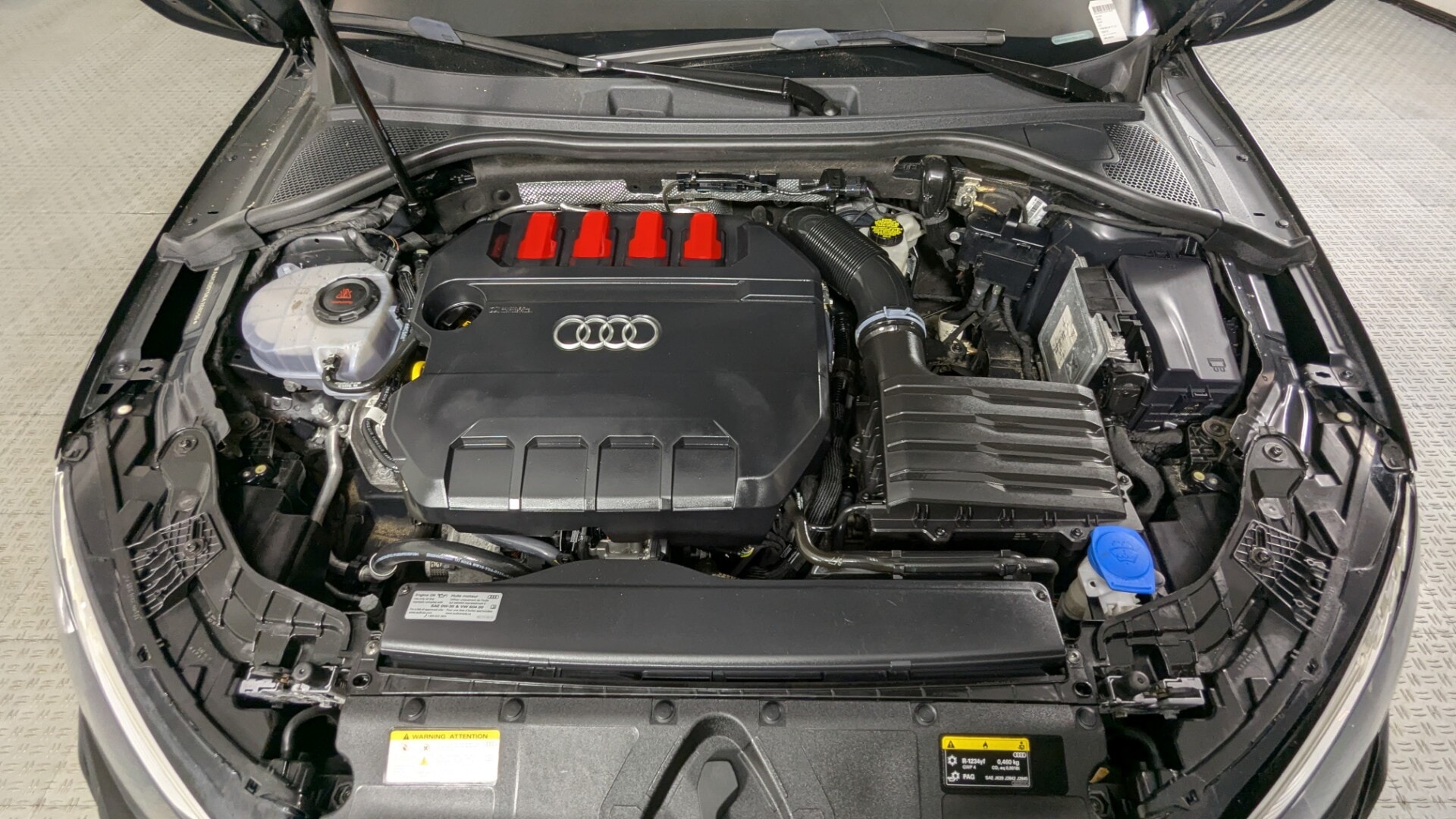 Florida Fine Cars - Used vehicle - SEDAN AUDI S3 2024