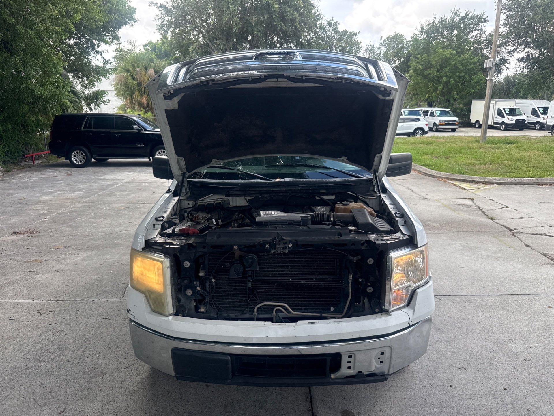 Florida Fine Cars - Used vehicle - TRUCK FORD F-150 2009