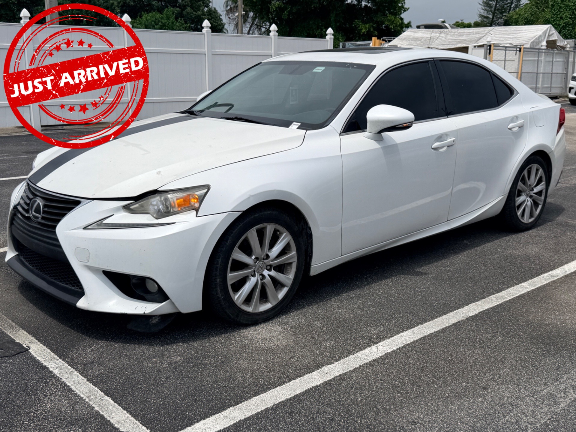 Florida Fine Cars - Used vehicle - SEDAN LEXUS IS 250 2014