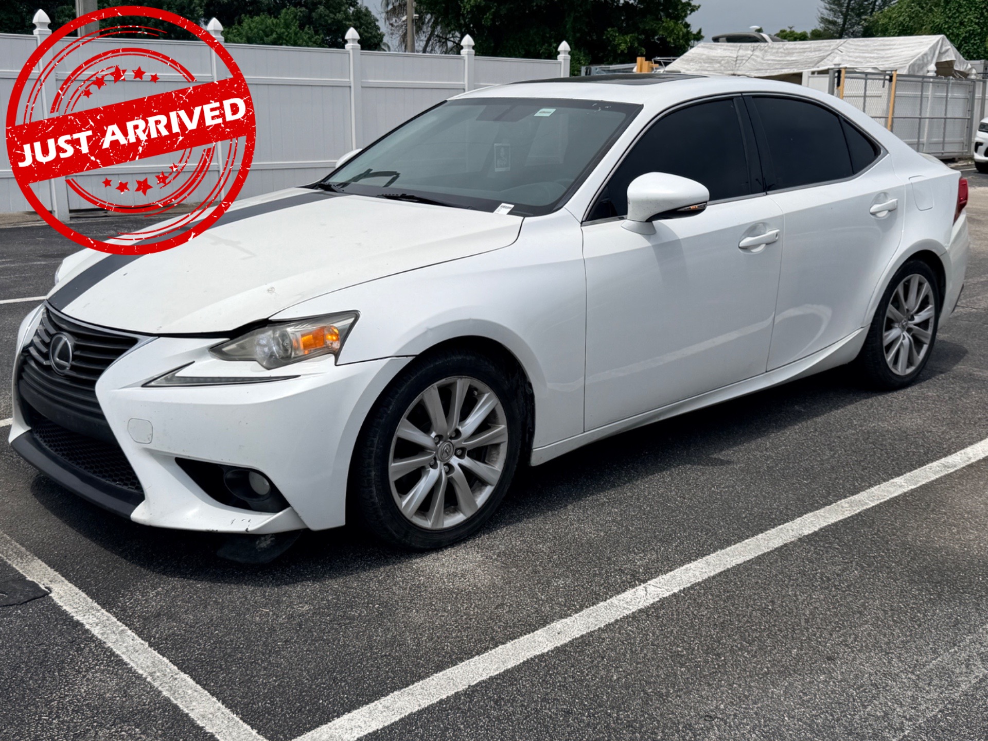 Florida Fine Cars - Used vehicle - SEDAN LEXUS IS 250 2014