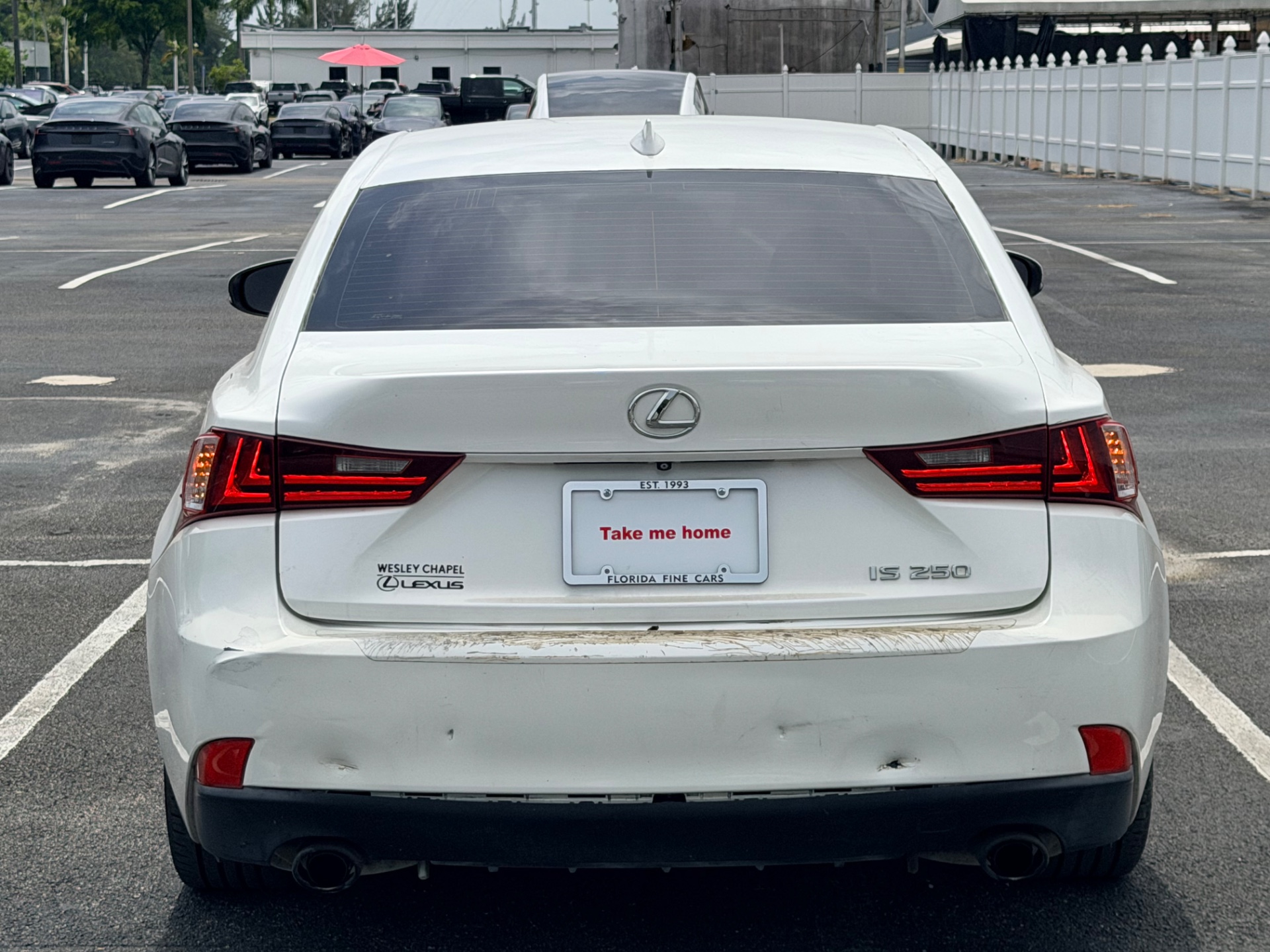 Florida Fine Cars - Used vehicle - SEDAN LEXUS IS 250 2014
