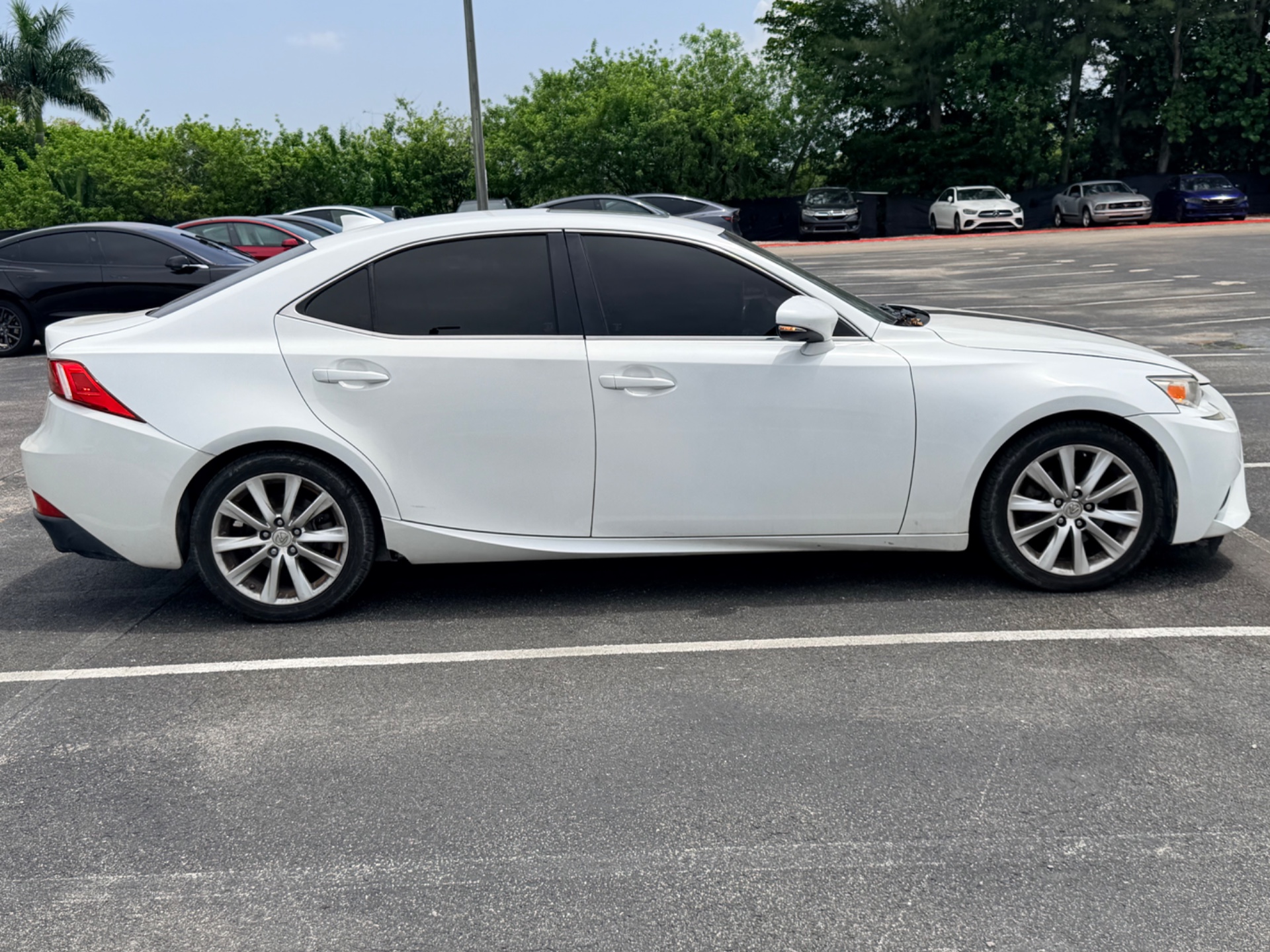 Florida Fine Cars - Used vehicle - SEDAN LEXUS IS 250 2014