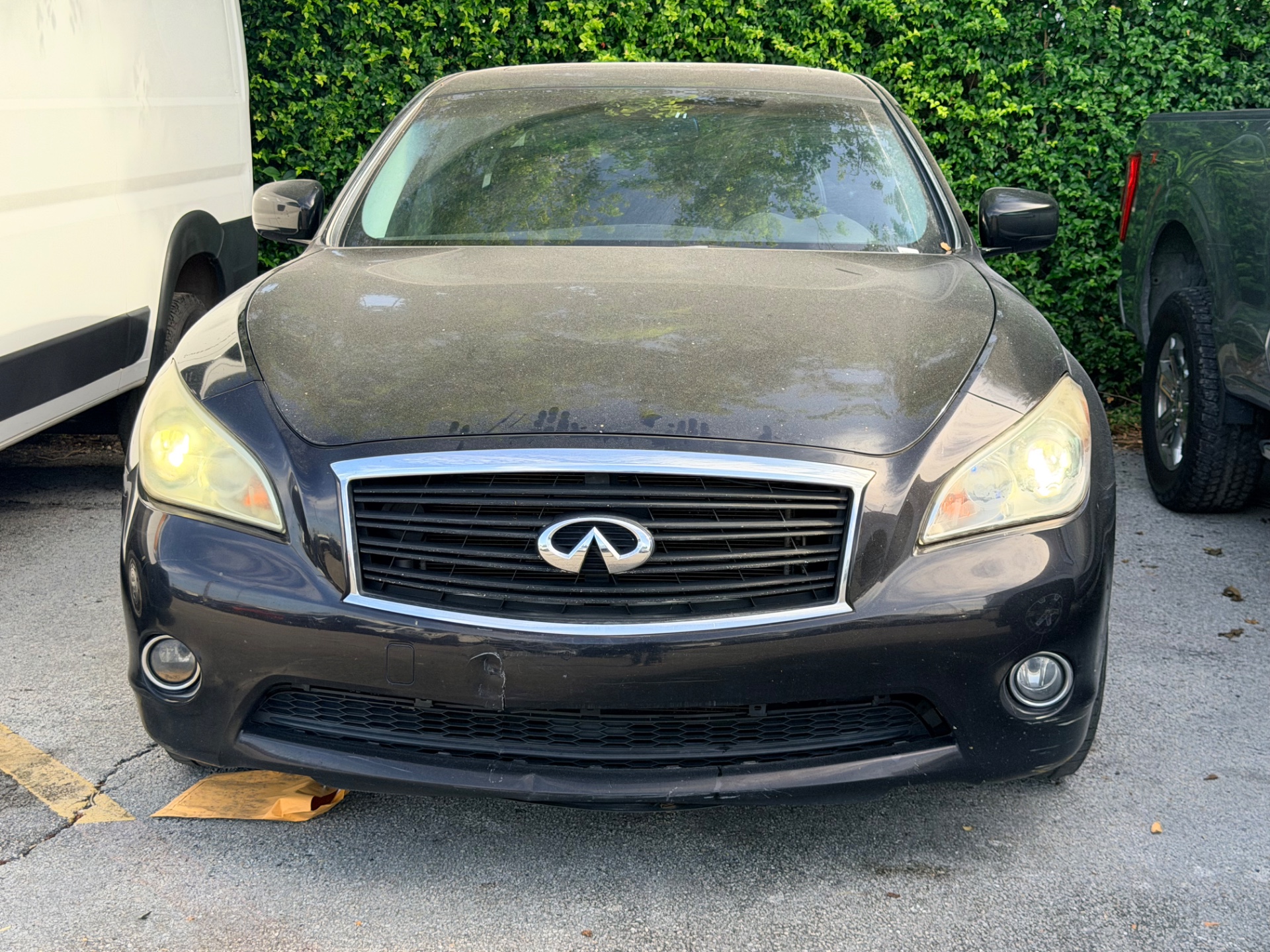 Florida Fine Cars - Used vehicle - SEDAN INFINITI M37 2012