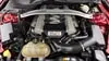 Florida Fine Cars - Used FORD MUSTANG 2016 WEST PALM GT