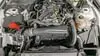 Florida Fine Cars - Used FORD MUSTANG 2024 ORLANDO ECOBOOST PREMIUM