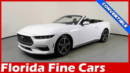 Florida Fine Cars - Used FORD MUSTANG 2024 ORLANDO ECOBOOST PREMIUM