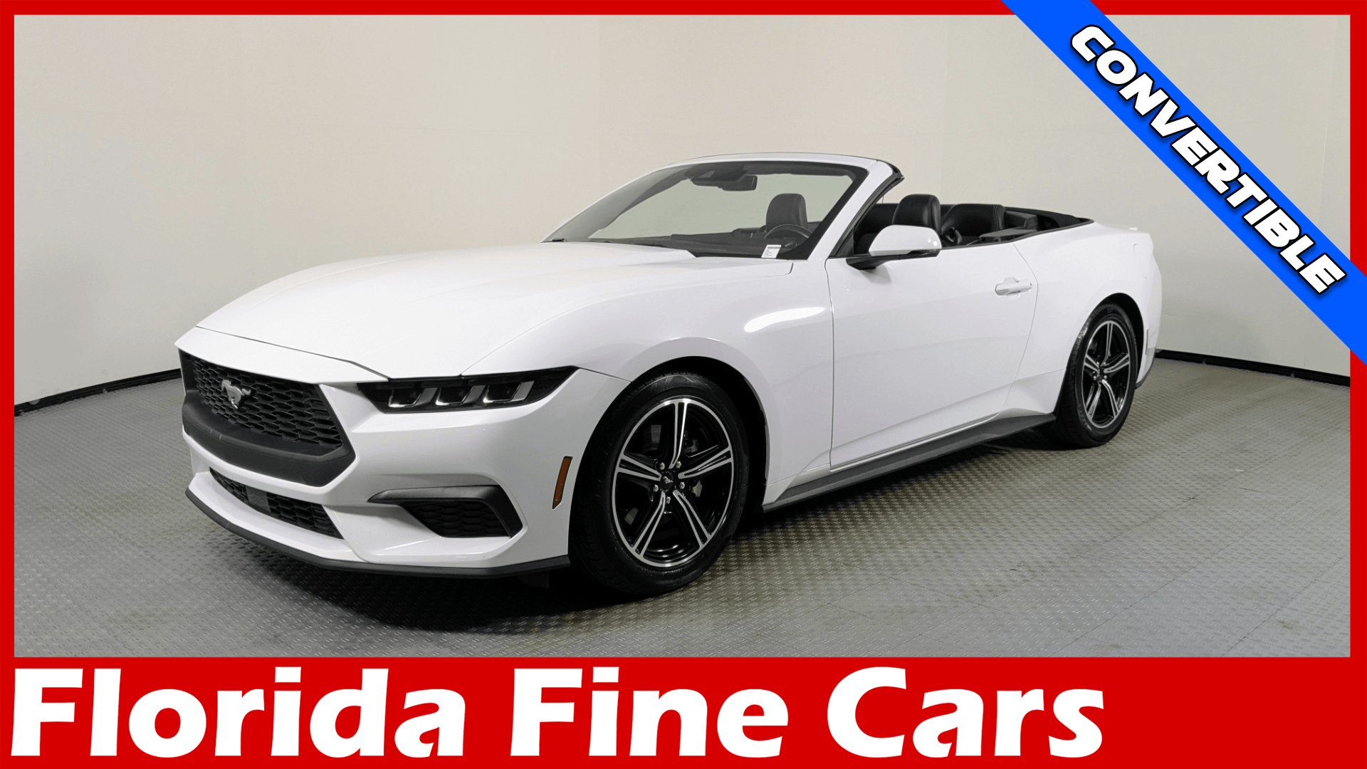 Florida Fine Cars - 2024-FORD-MUSTANG-ORLANDO-FL-Stock=161656