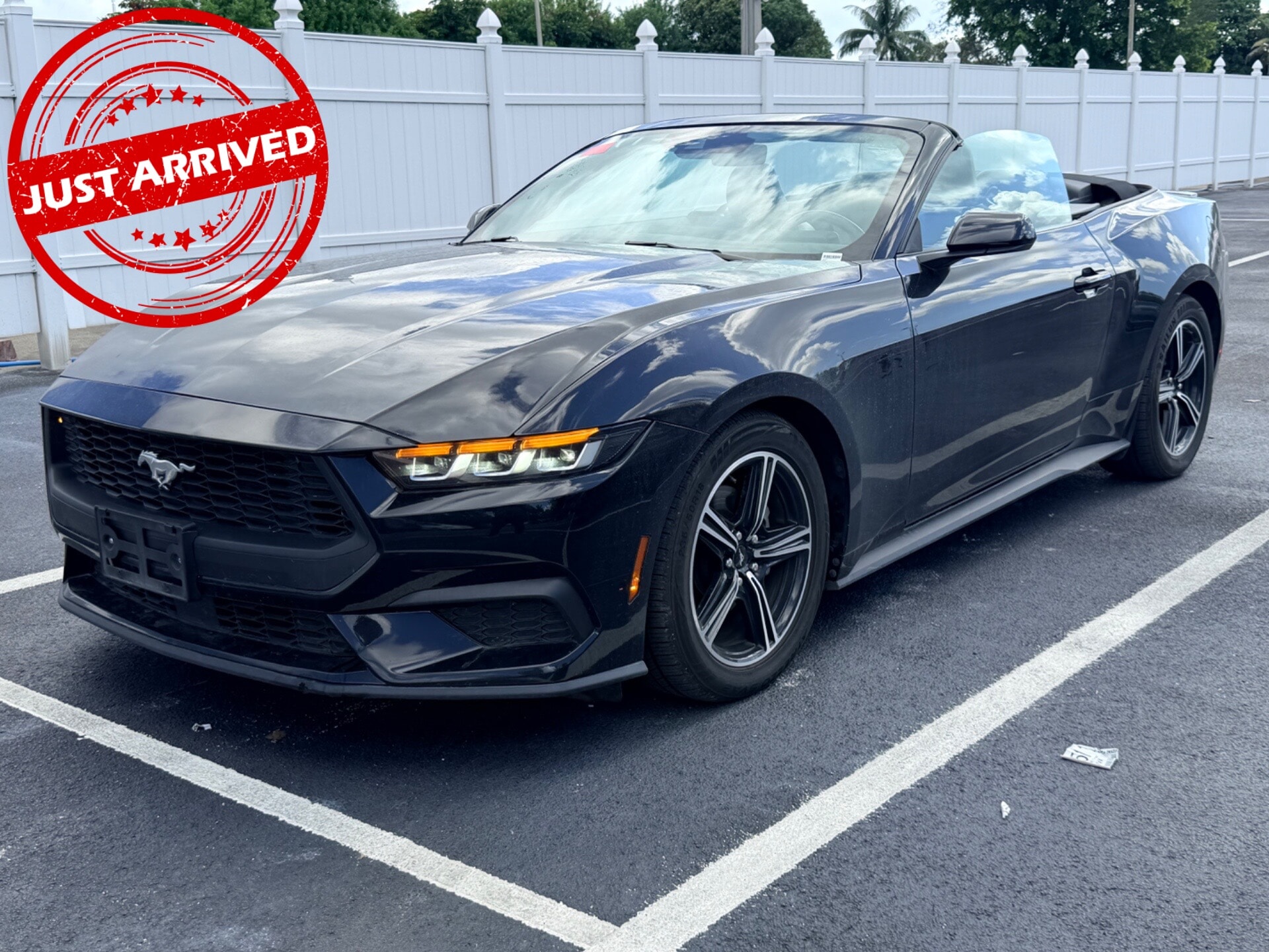 Florida Fine Cars - 2024-FORD-MUSTANG-MARGATE-FL-Stock=162054