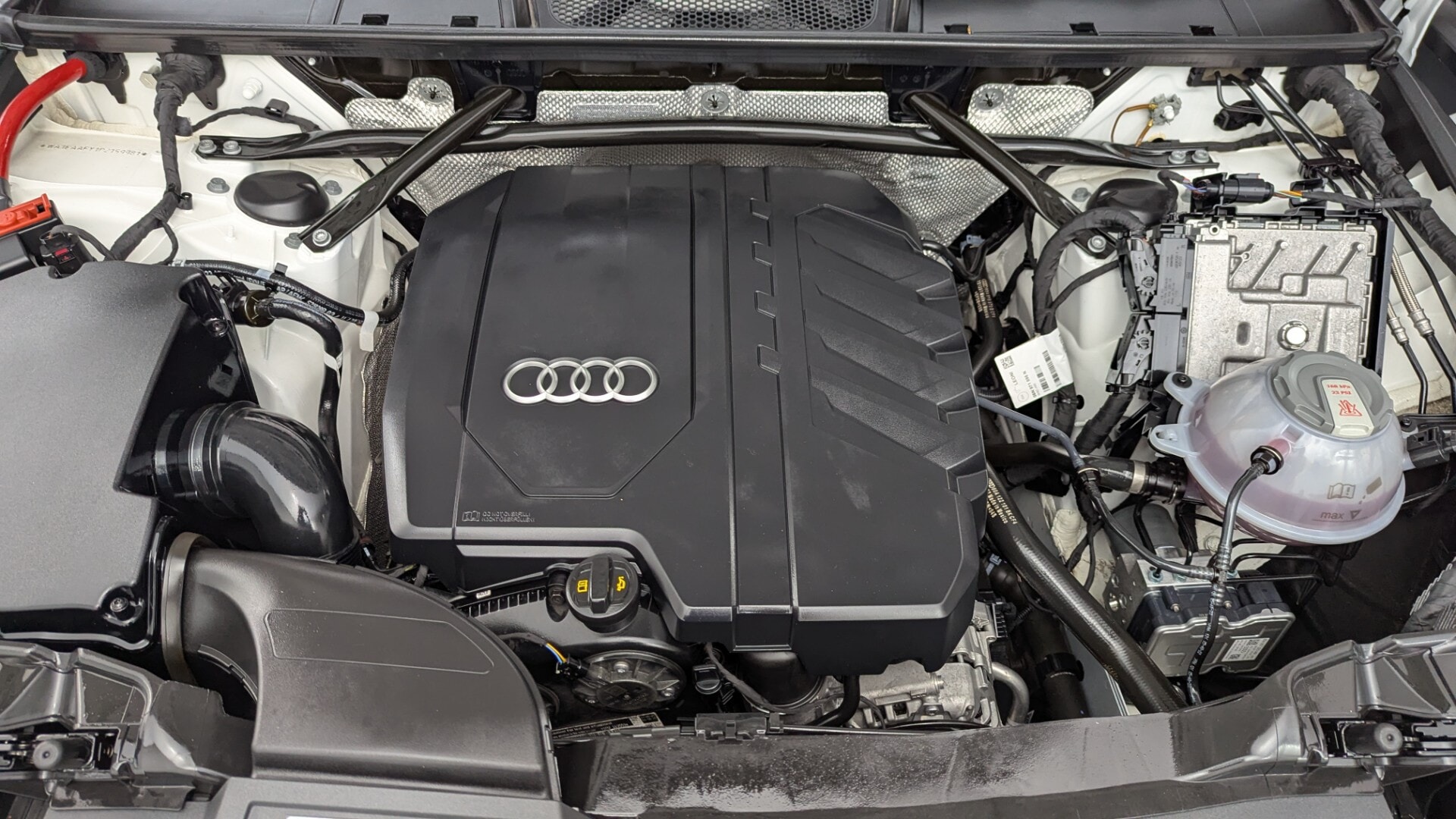 Florida Fine Cars - Used vehicle - SUV AUDI Q5 2023