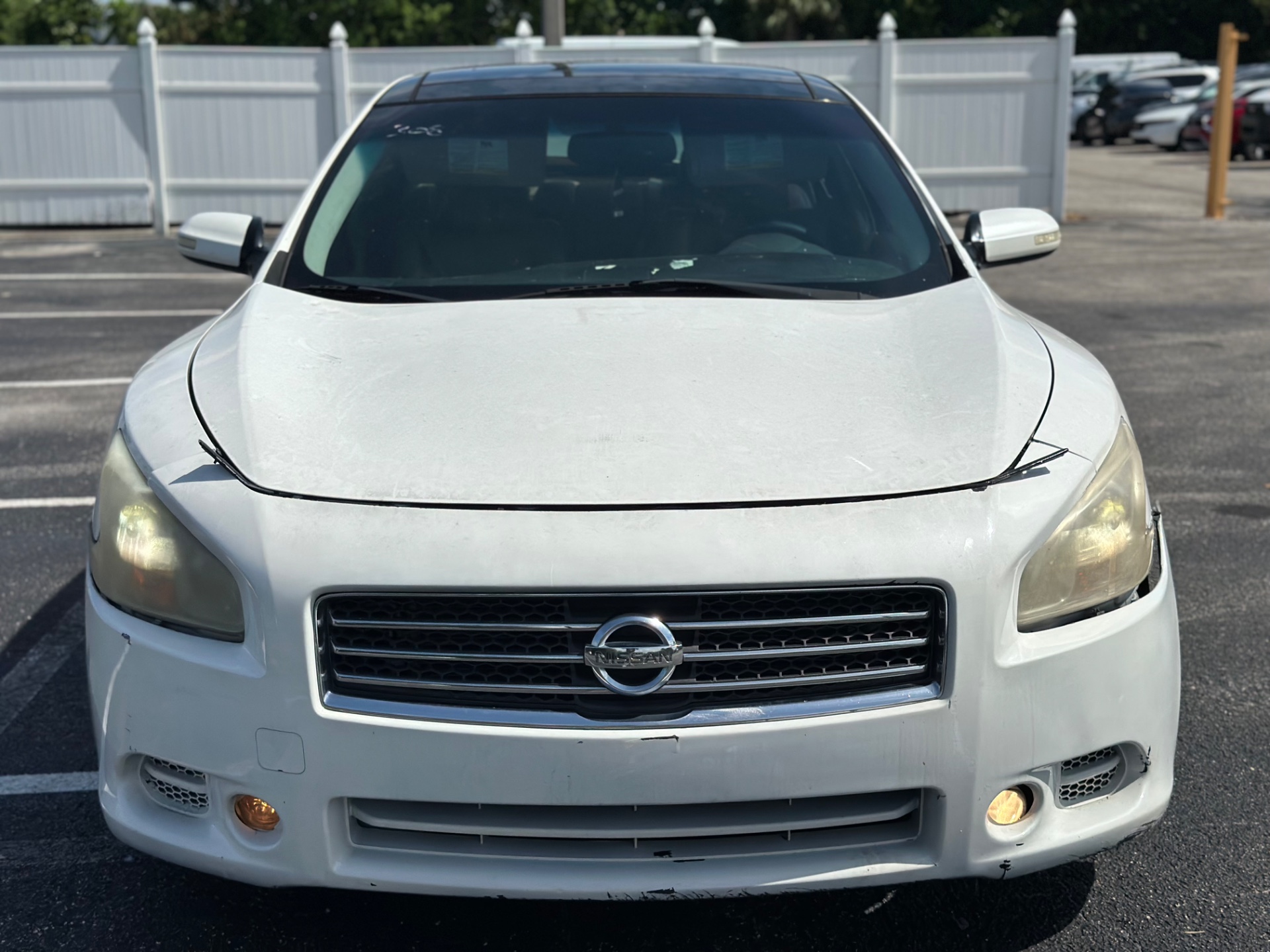Florida Fine Cars - Used vehicle - SEDAN NISSAN MAXIMA 2011