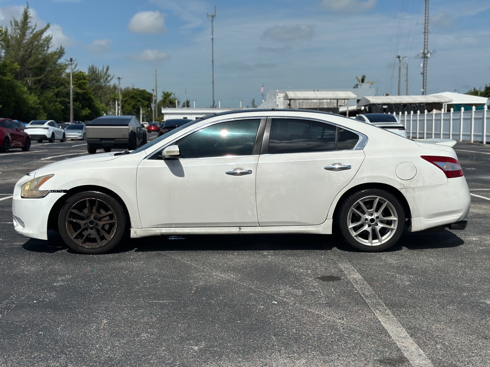 Florida Fine Cars - Used vehicle - SEDAN NISSAN MAXIMA 2011