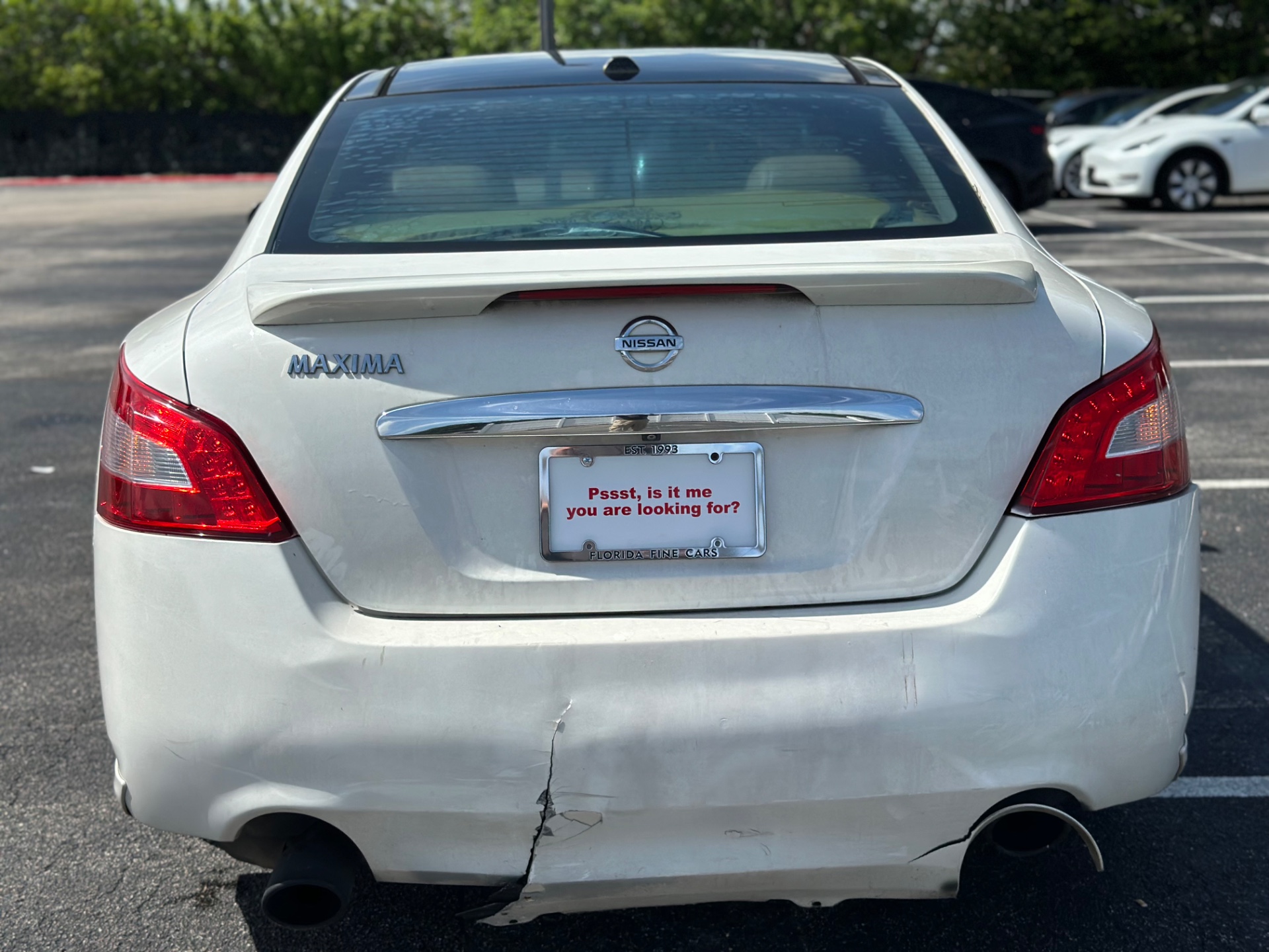 Florida Fine Cars - Used vehicle - SEDAN NISSAN MAXIMA 2011
