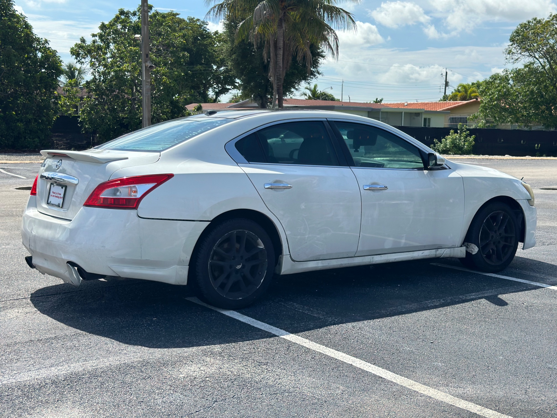 Florida Fine Cars - Used vehicle - SEDAN NISSAN MAXIMA 2011